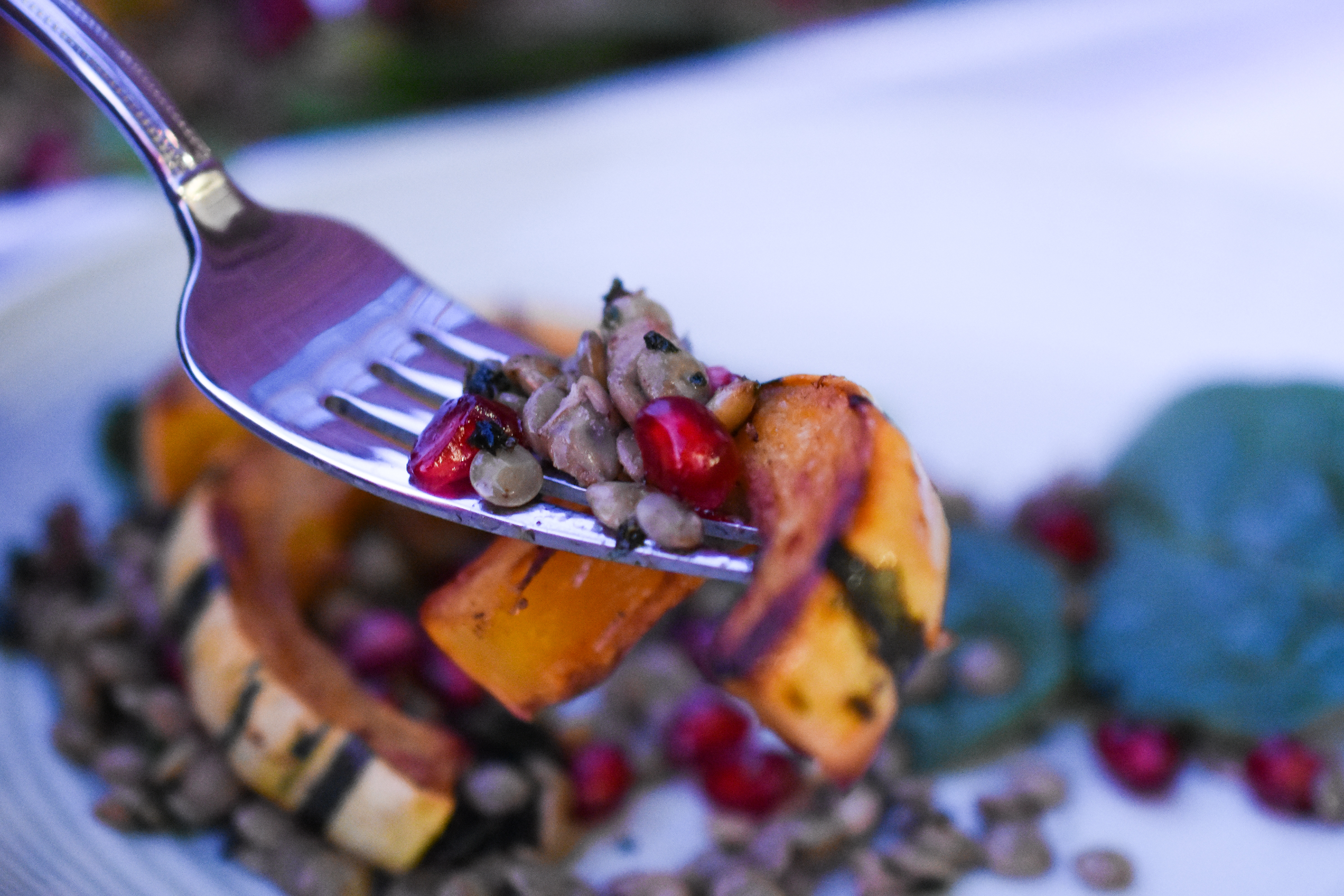 delicata squash lentils